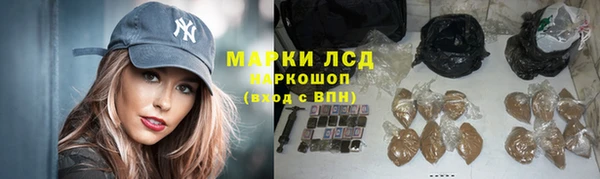 спайс Баксан