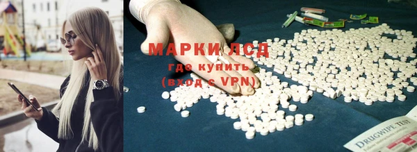 спайс Баксан
